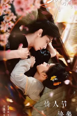 电影天堂如期海报